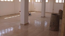 DSC03253